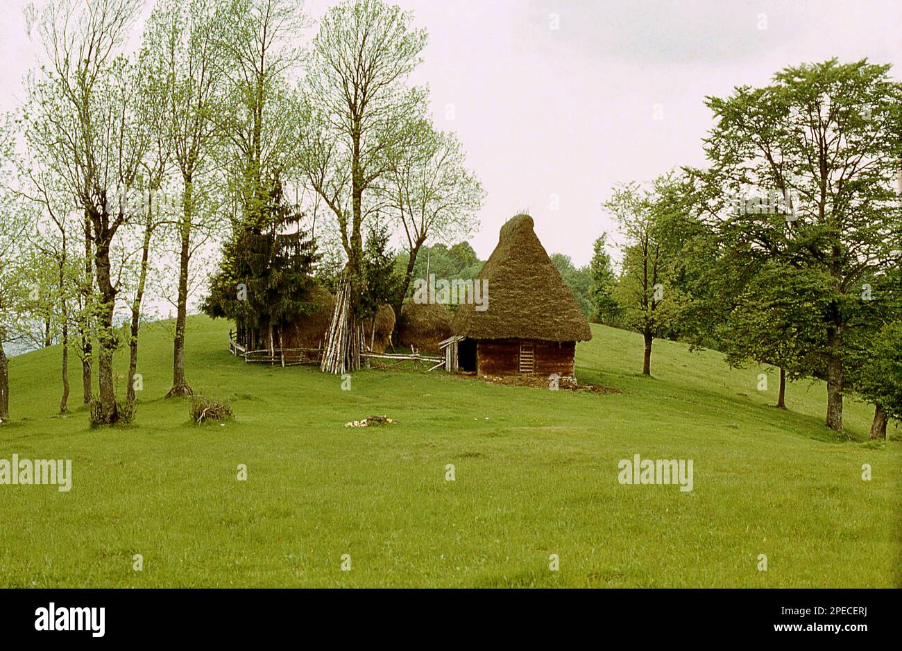 Hunedoara County, Romania, 1980. Traditional thatched straw roof shed and haystacks in a pasture in the Orastiei Mountains. Stock Photo