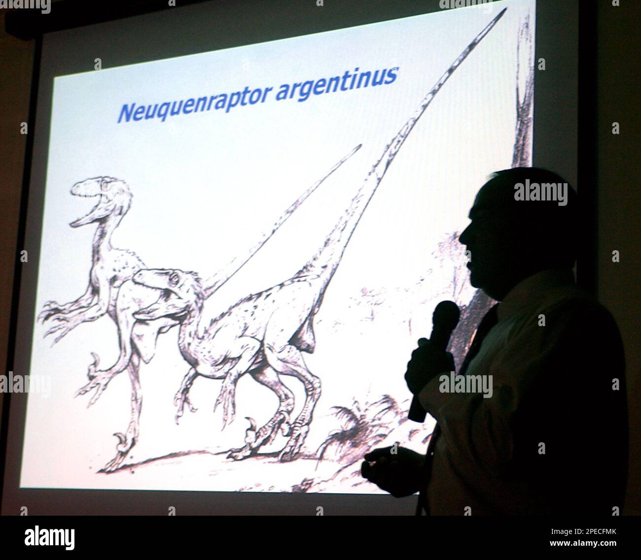 Paleontologist Fernando Novas shows a drawing of a small meateating