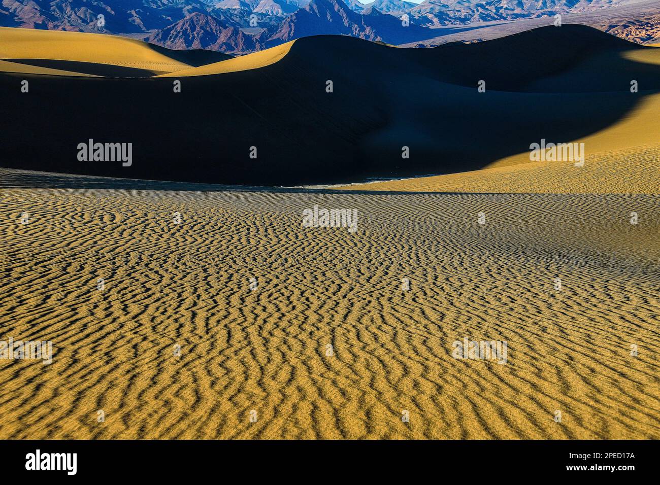 Sand Dunes Textures Stock Photo