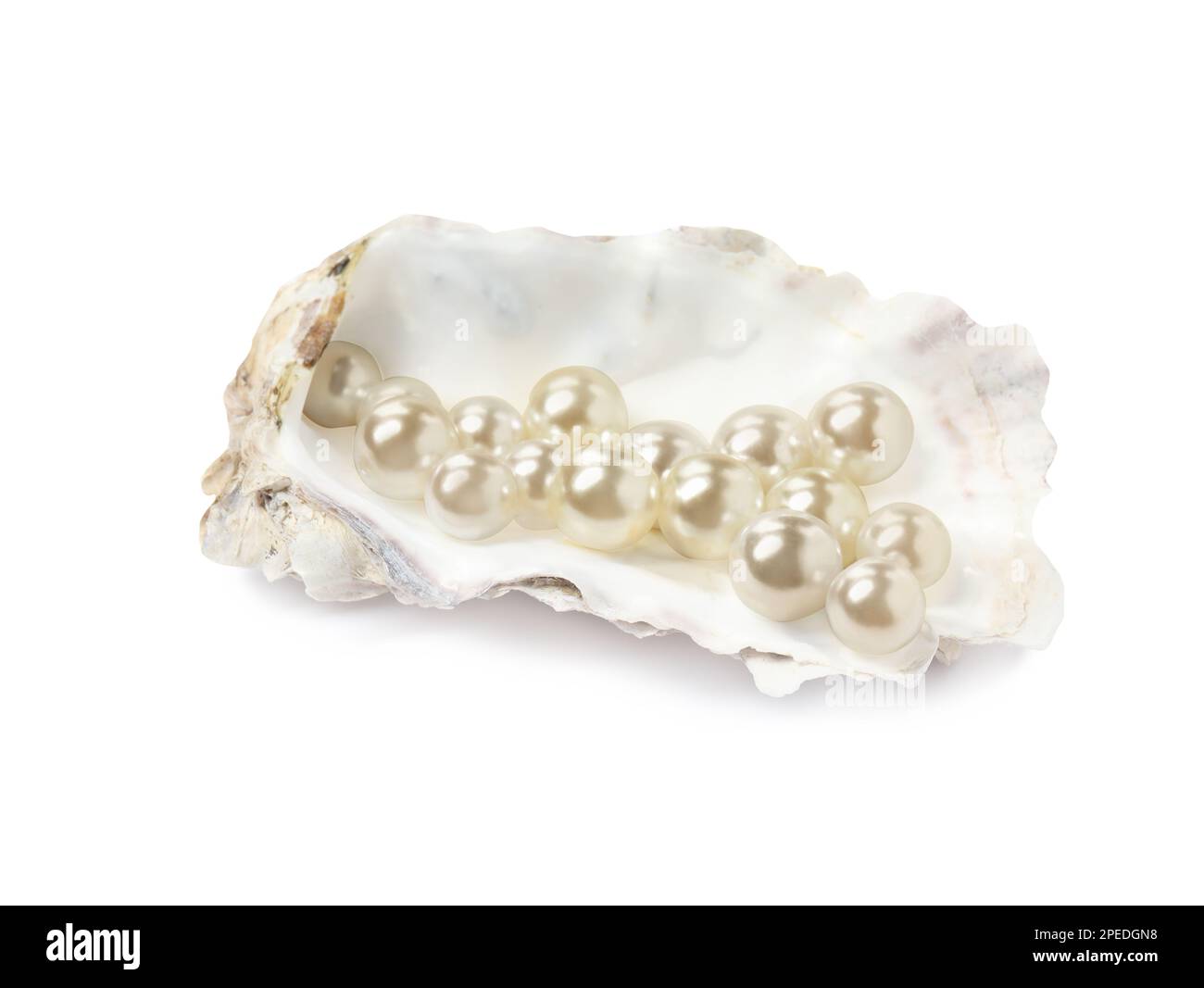 Oyster shell with pearls on white background Stock Photo - Alamy