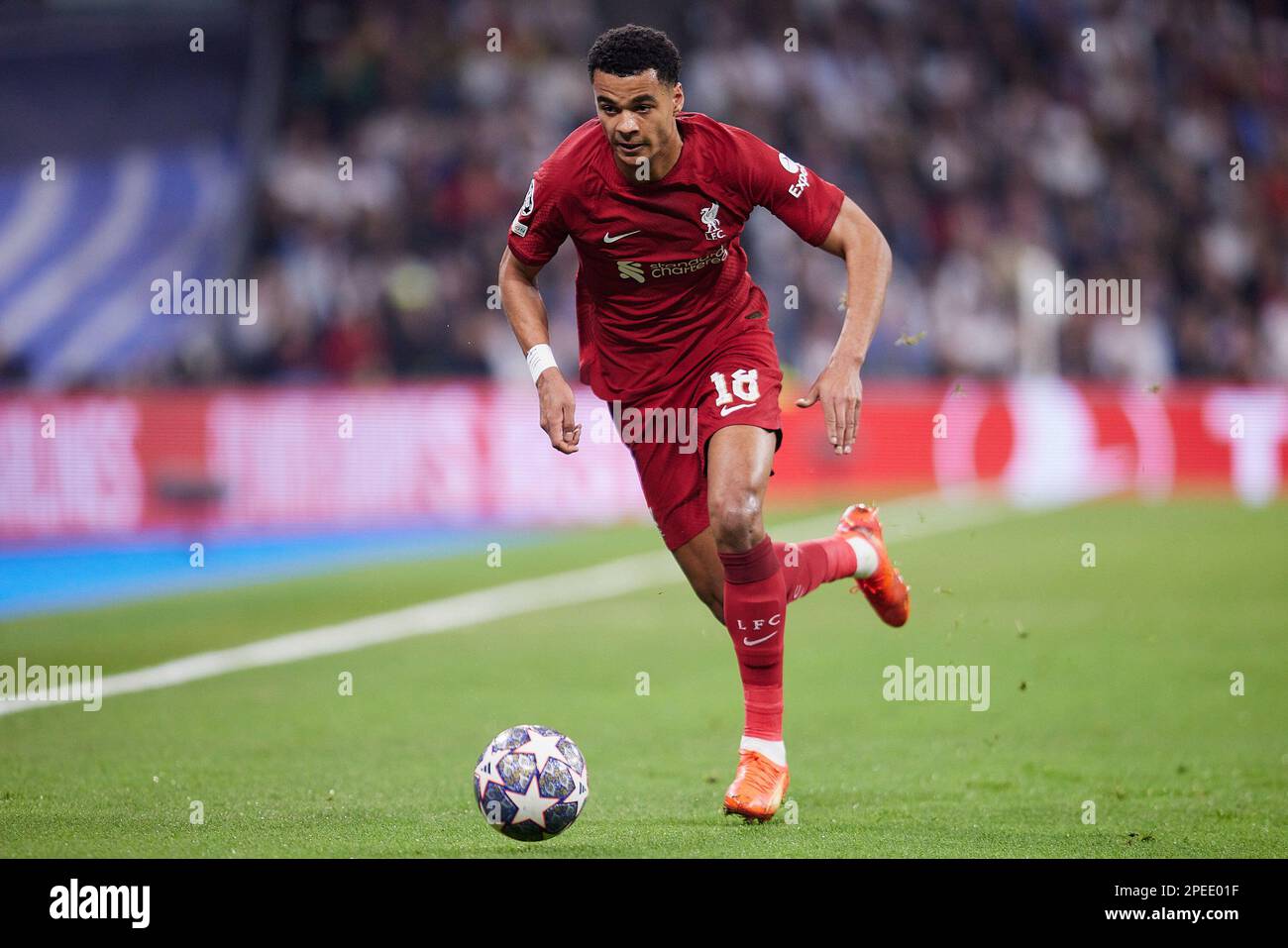 Madrid, Spain. 15th Mar, 2023. Cody Gakpo of Liverpool FC in action during the UEFA Champions League, Round of 16, Second Leg between Real Madrid CF and Liverpool FC at Santiago Bernabeu Stadium. Final score; Real Madrid 1:0 Liverpool. Credit: SOPA Images Limited/Alamy Live News Stock Photo