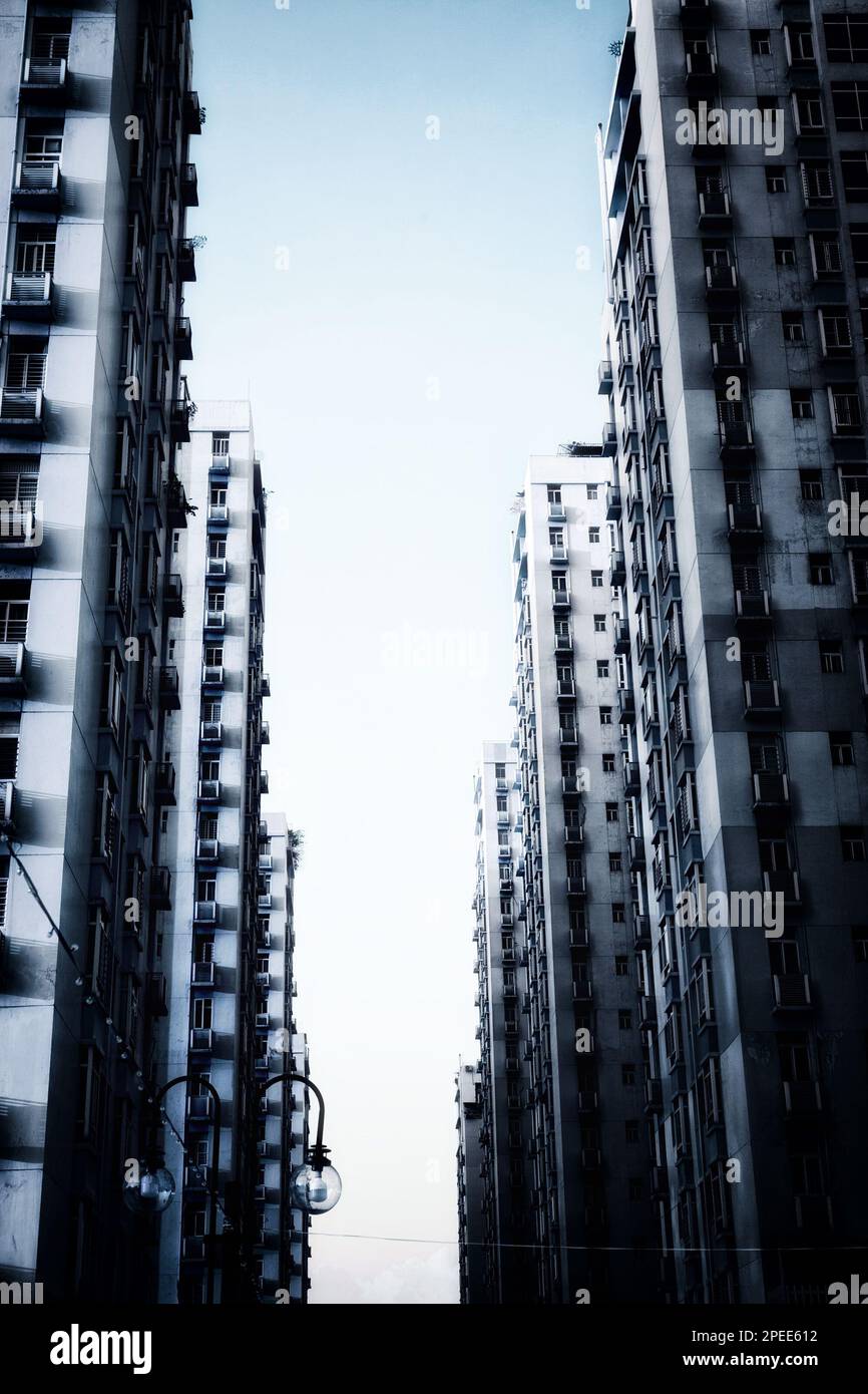 Ominous empty skyscrapers abandoned after apocalypse. Rows of tall