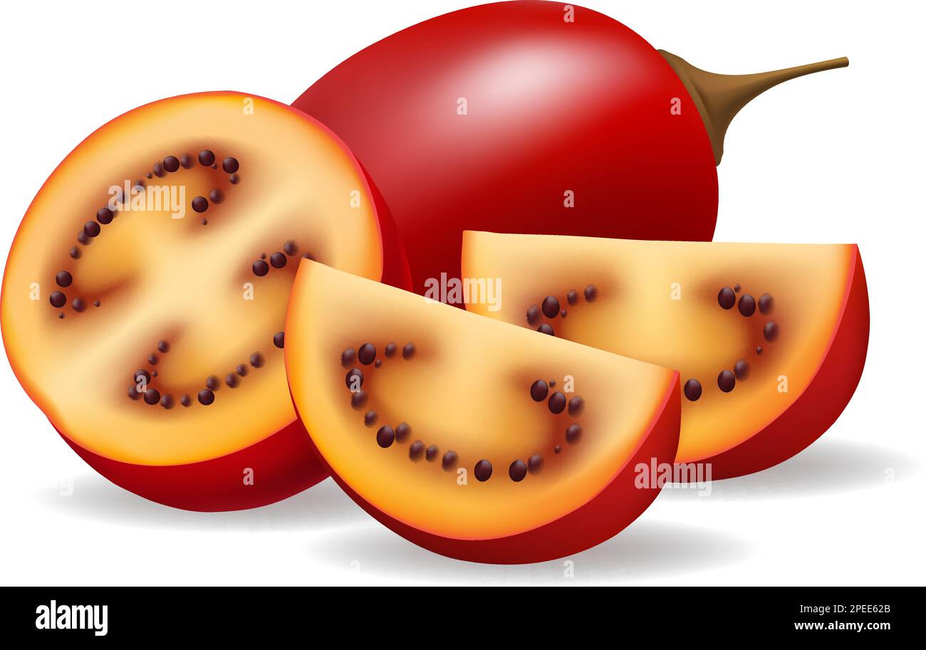 Realistic cutted tamarillo Stock Vector