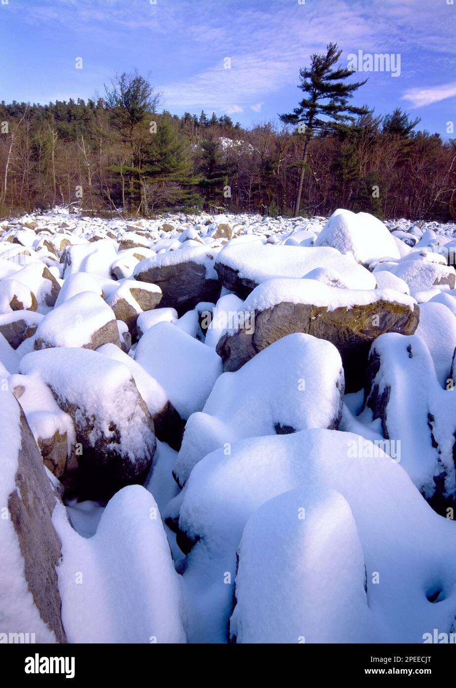 The “Devils Potato Patch” along the Appalachian Trail within Little Gap
