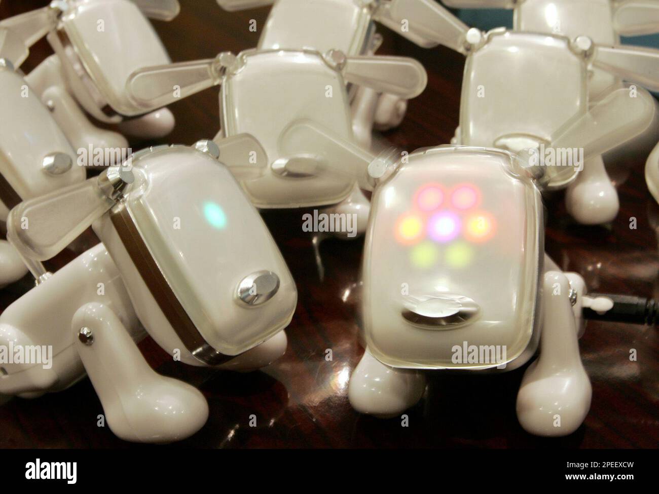 Idog toy best sale
