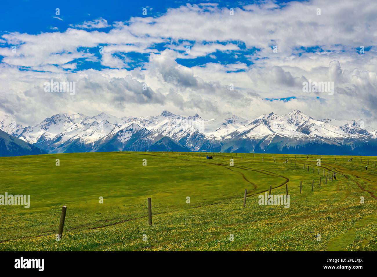 Kalajun Grassland is in the shape of rolling hills, backed by towering snow-capped mountains, and there are forests, flowers, and other landscapes on Stock Photo