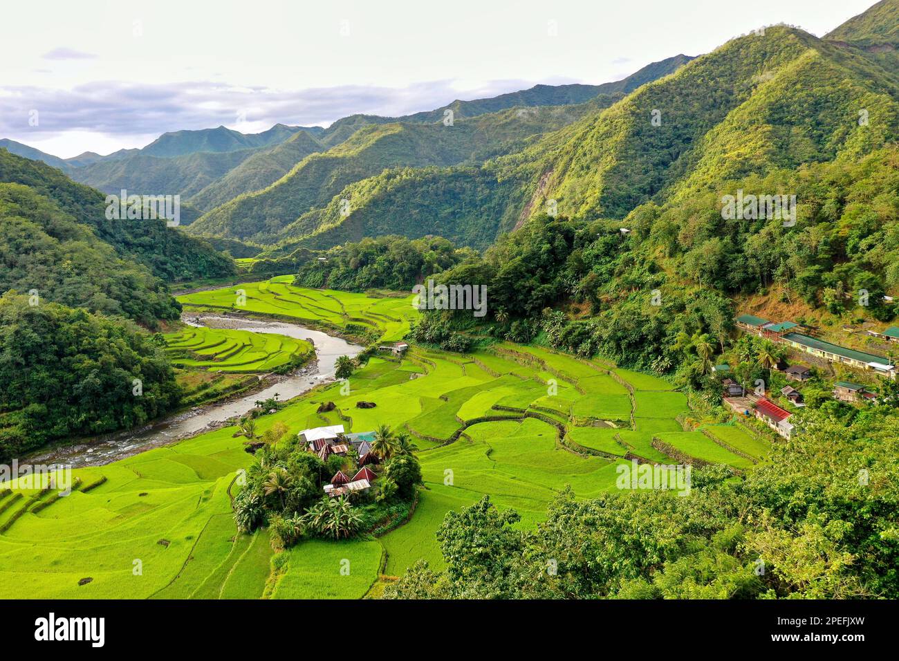 Panorama drone shot over the rice terraces of Banaue in the Philippines ...