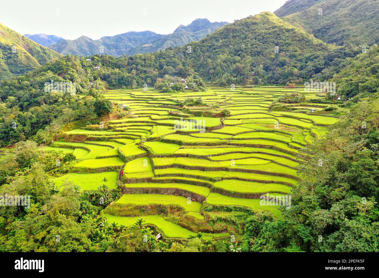 Panorama drone shot over the rice terraces of Banaue in the Philippines ...