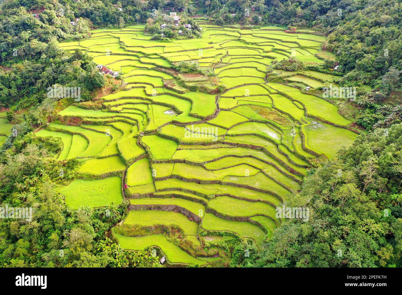 Panorama drone shot over the rice terraces of Banaue in the Philippines ...
