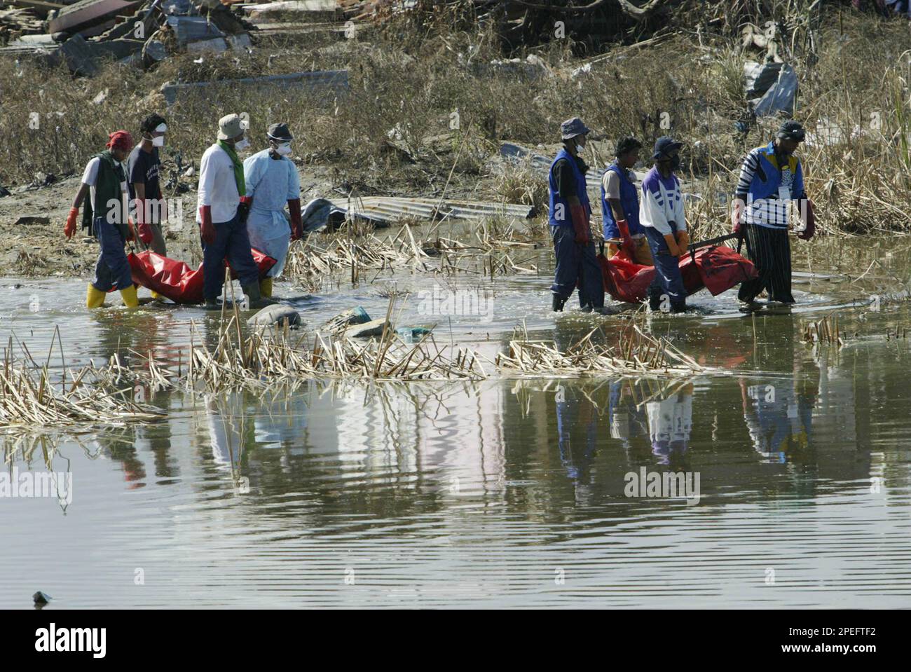 Survivors and volunteers wade through a pool of water as they