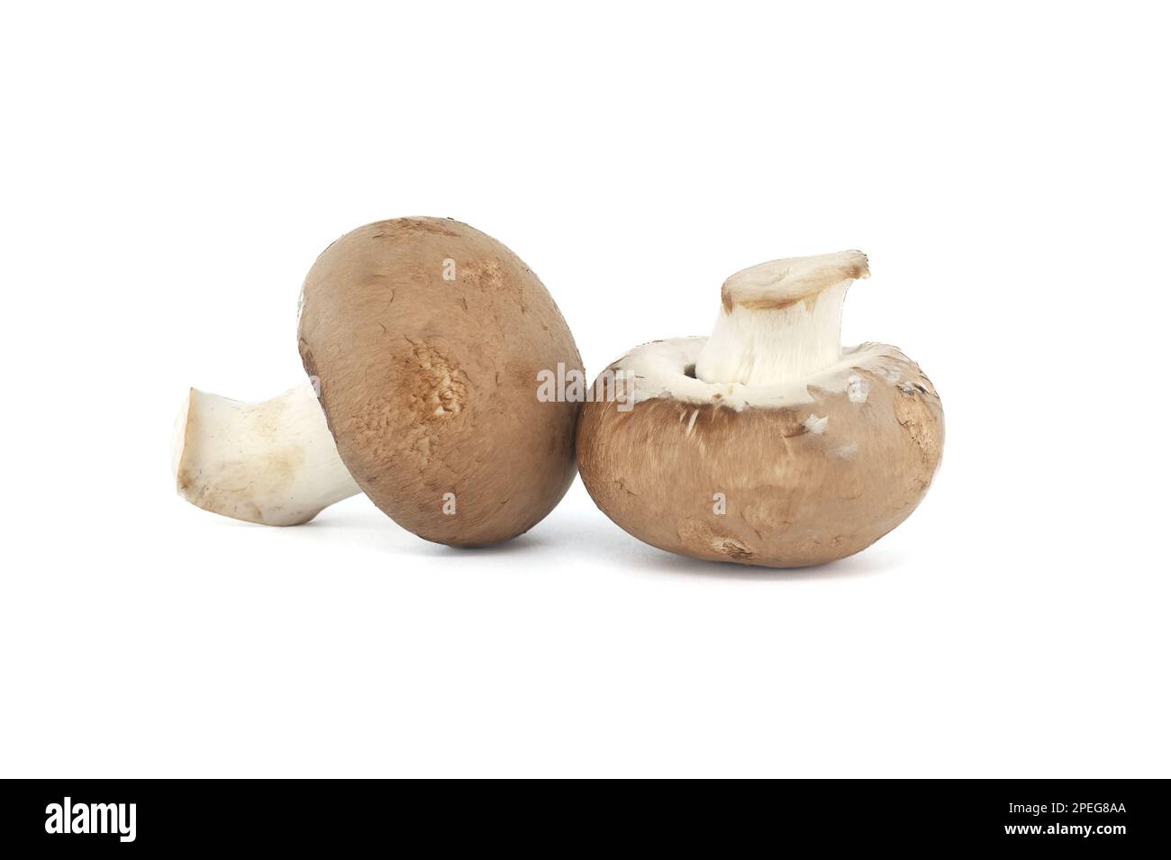 Fresh Baby Bella or Cremini whole mushrooms isolated on white