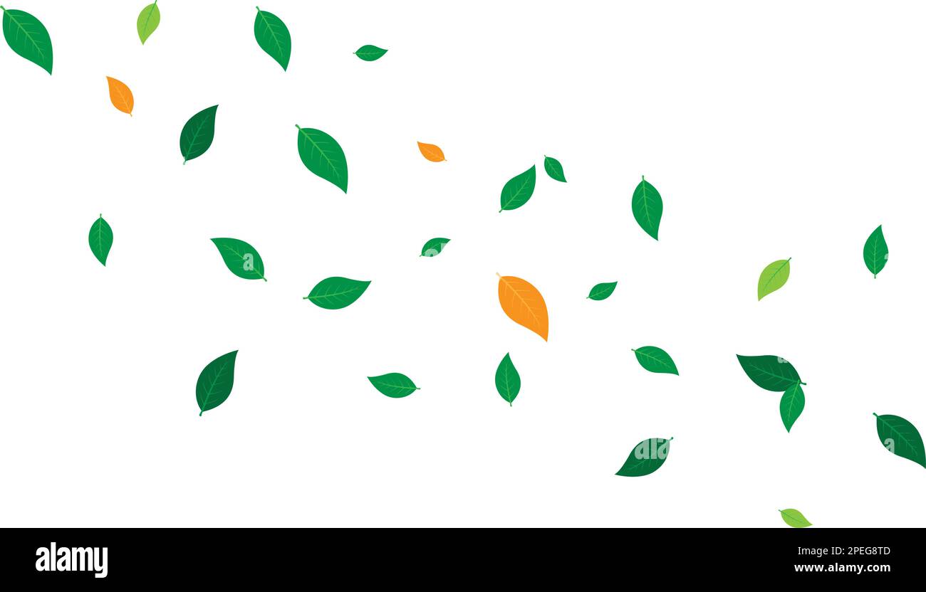 leaf background vektor illustration design Stock Vector Image & Art - Alamy