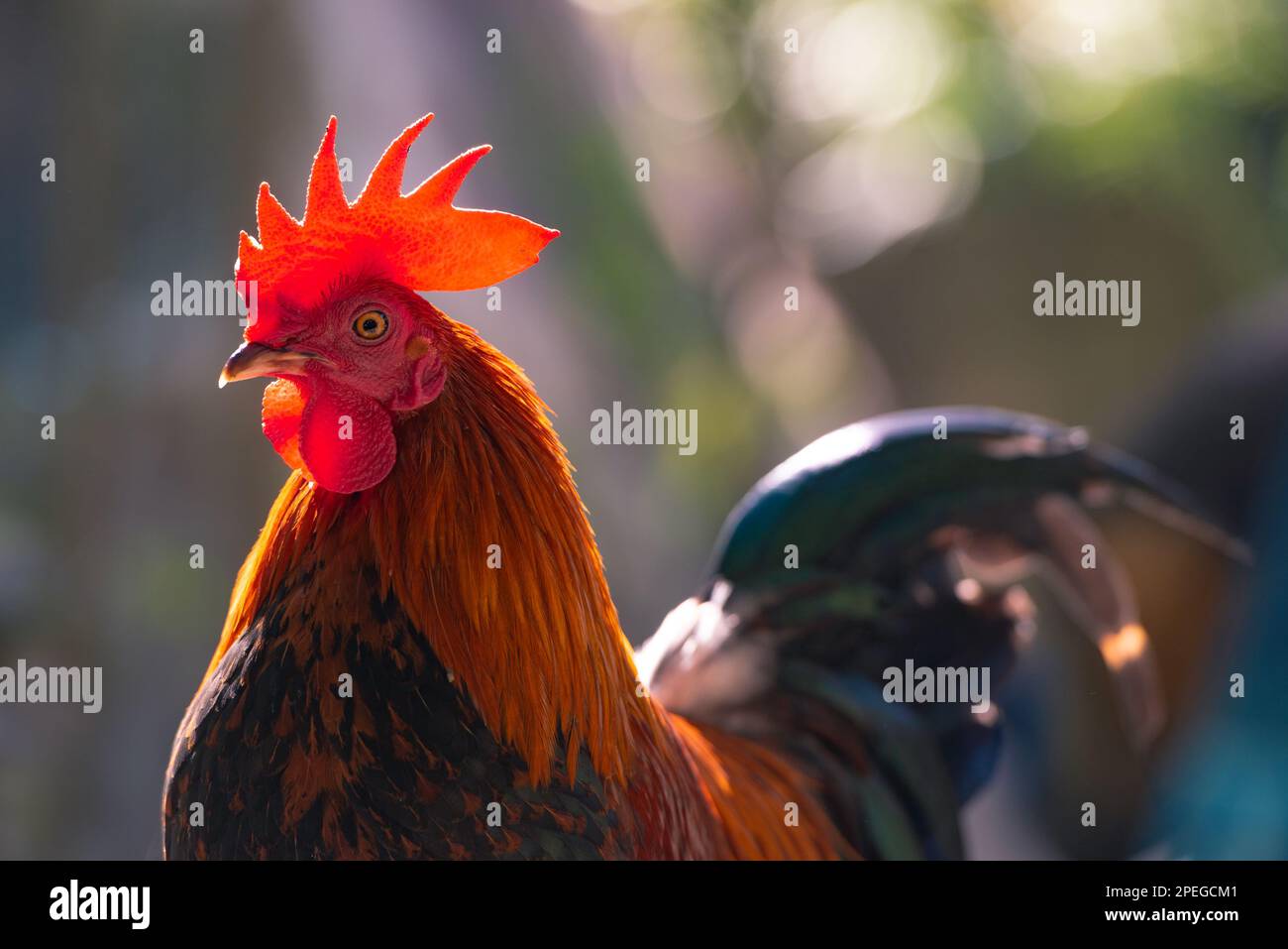 samsung mobile lock screen time setting
