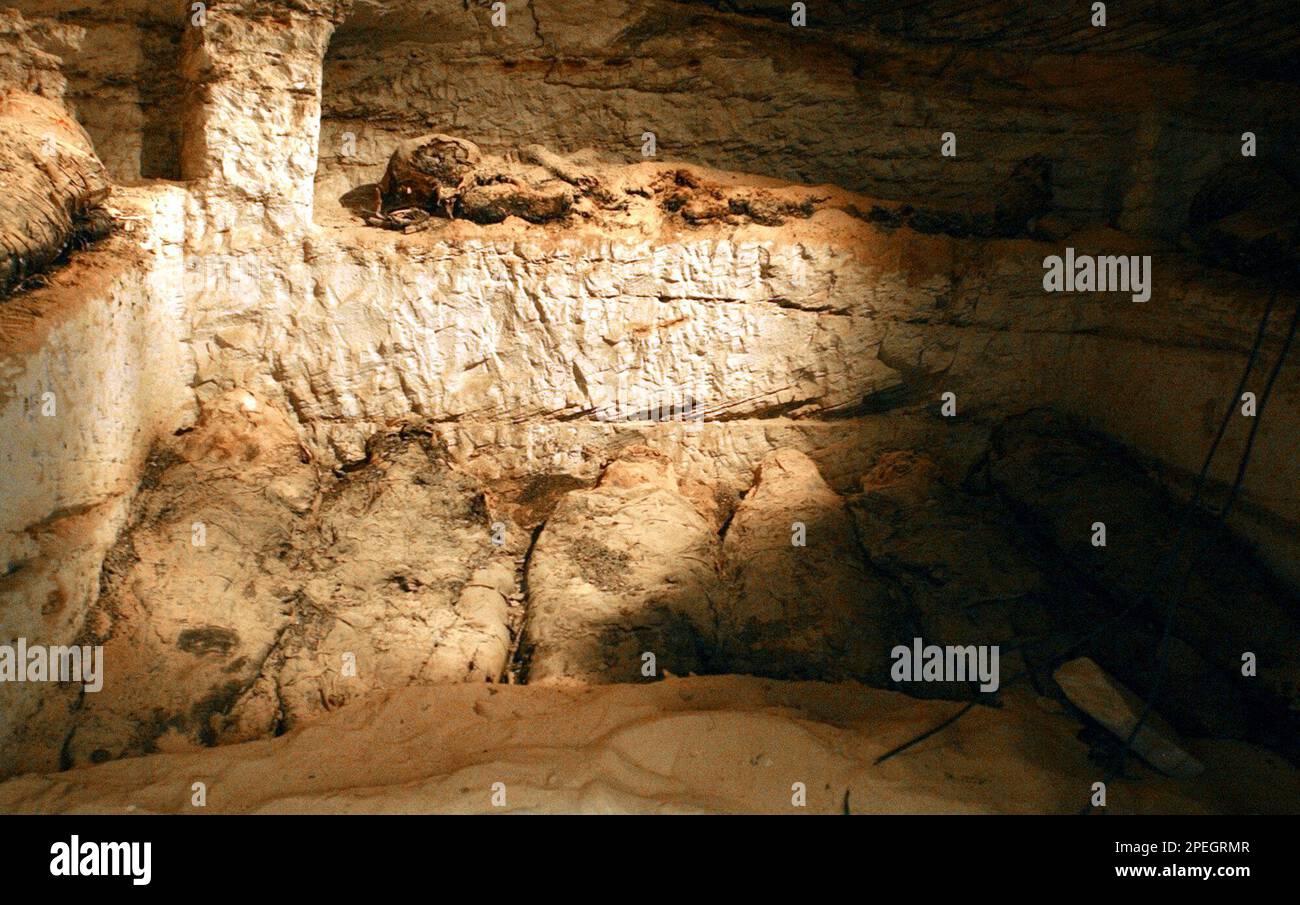 Nine newly discovered 2000 year old mummies rest in a tomb under the ground at the valley of the Golden mummies near Bahariya oasis in western Egypt some 375 Km 225 miles west of
