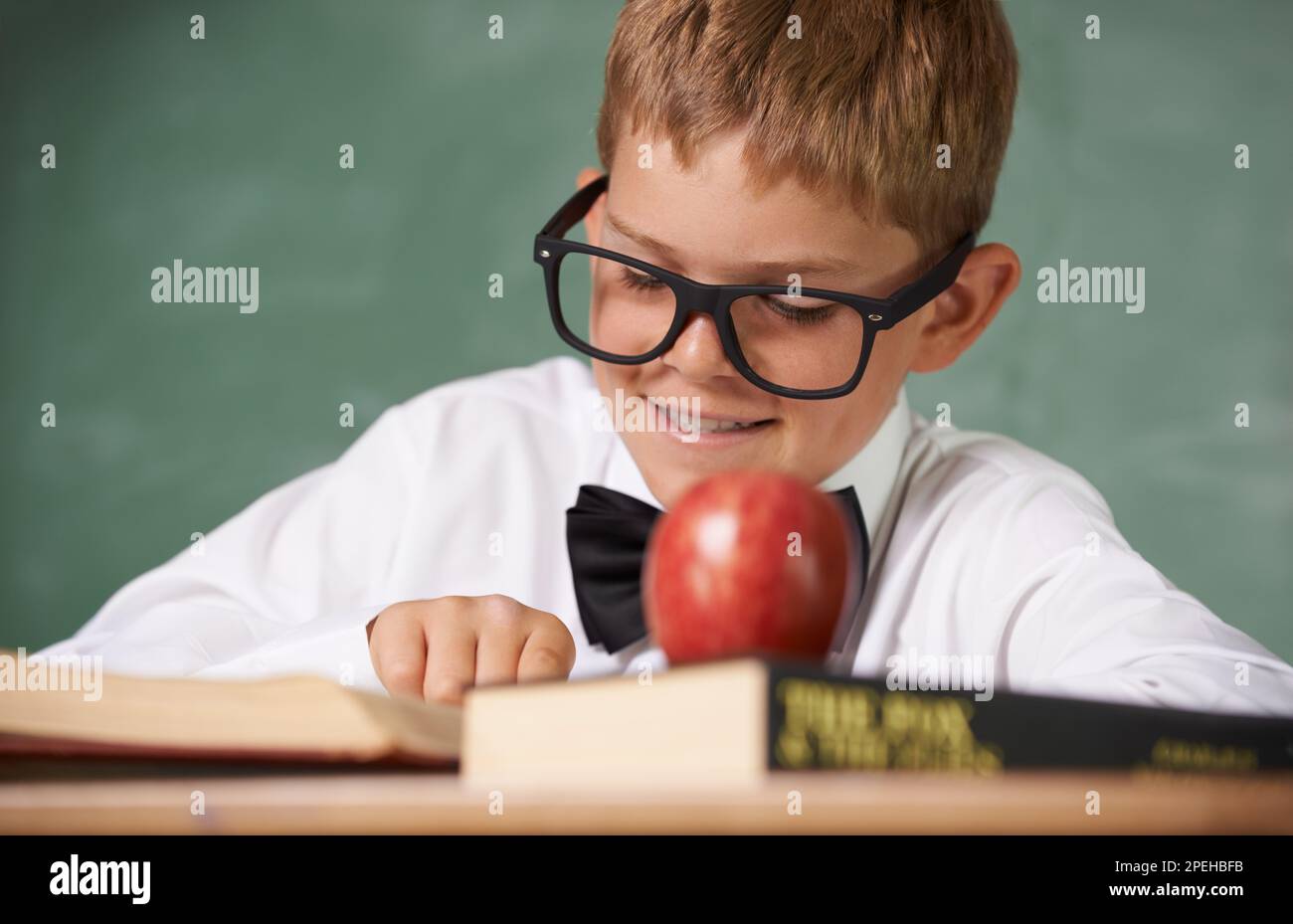 Teachers pet. A young boy wearing glasses and a bowtie concentrating