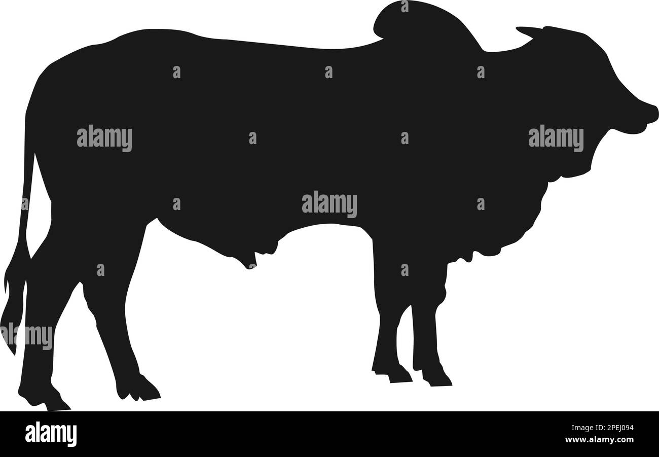 black cow logo vektor template Stock Vector Image & Art - Alamy