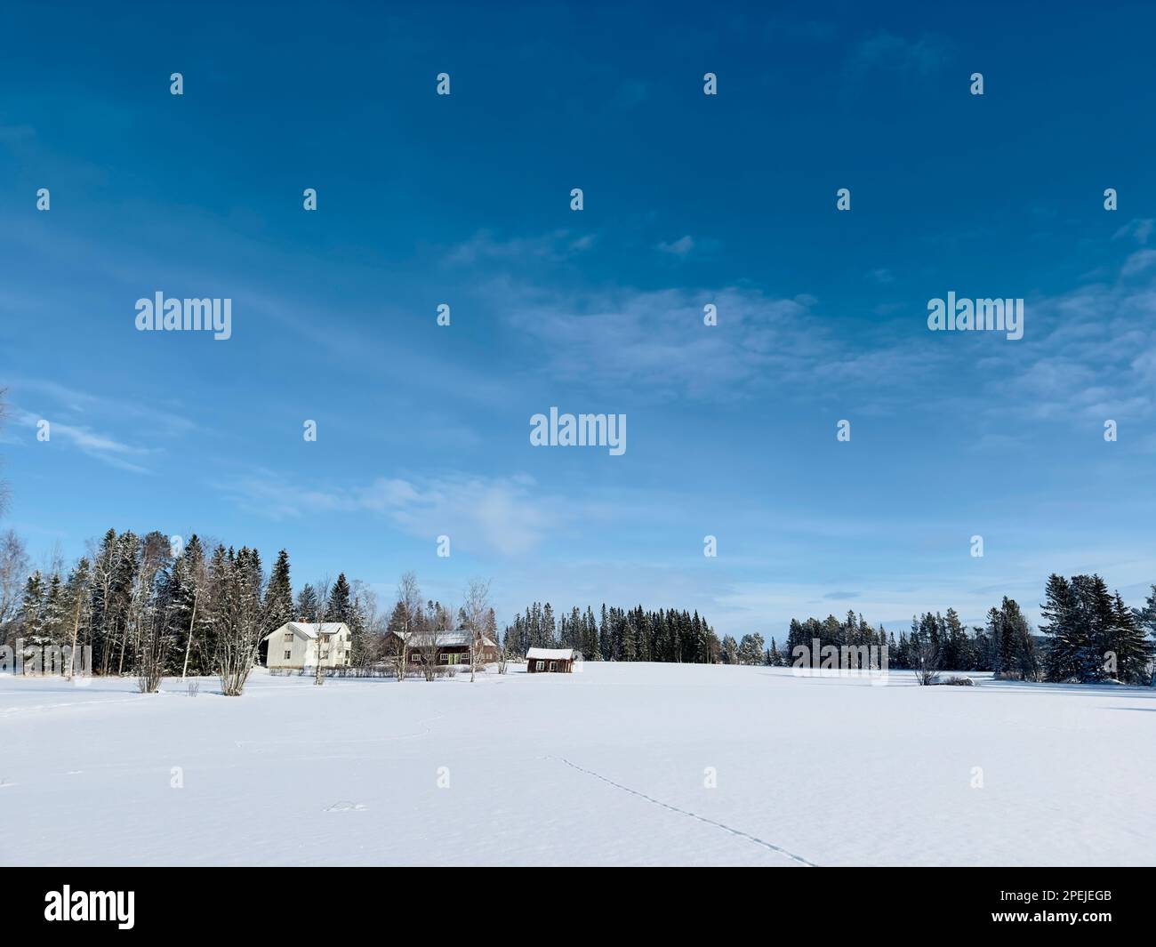 Sweden tree landscape hi-res stock photography and images - Alamy