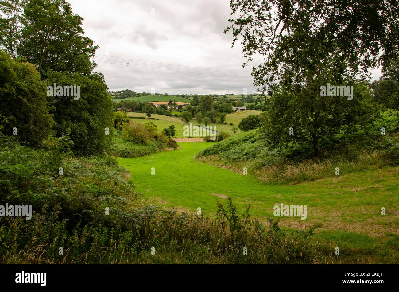 Small green valley lined with trees and a cloudy sky in the background near the River Lagan County Down Northern Ireland Stock Photo