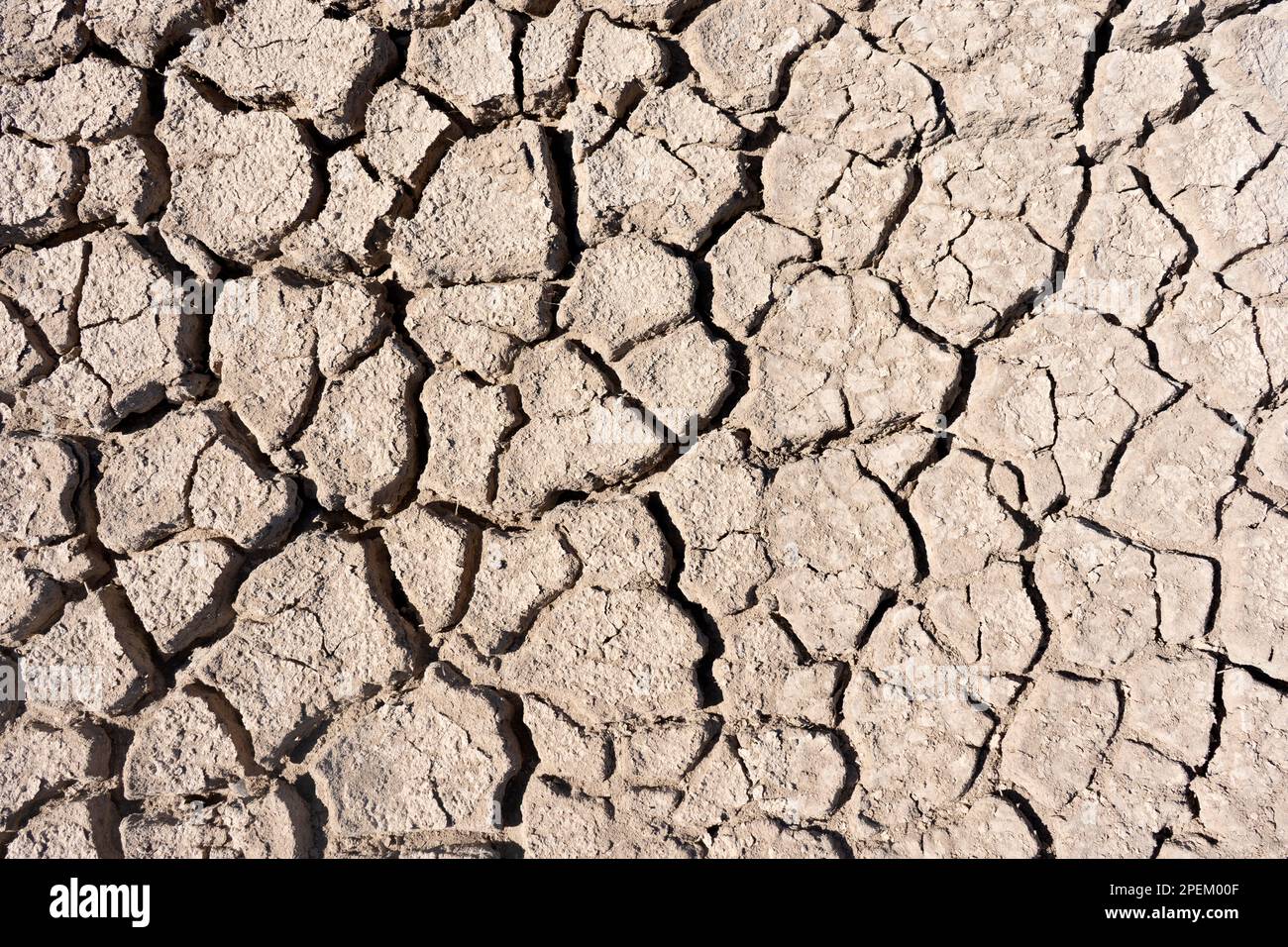 a close up view of a cracked and dry surface of mud Stock Photo