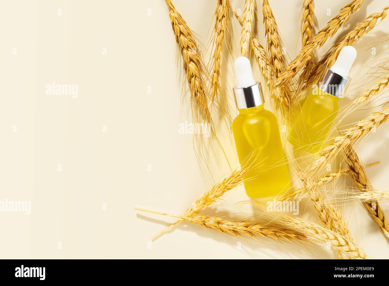A conceptual composition of wheat essential oils and wheat sprouts on a beige background. Oil with serum for skin and hair care. Bottle of body oil Stock Photo
