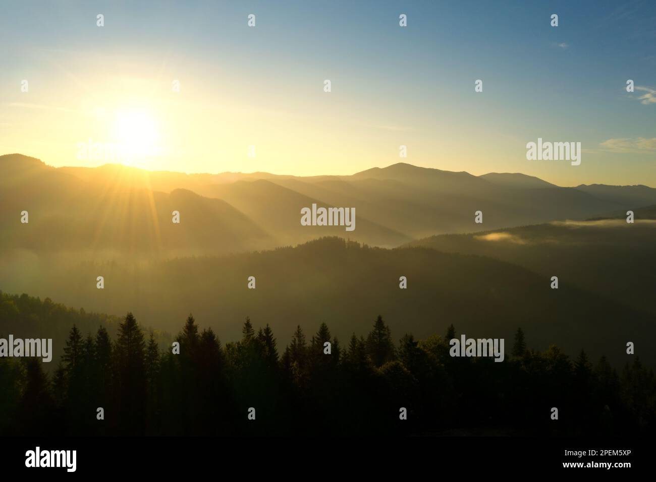 Drone over misty forest in hi-res stock photography and images - Alamy