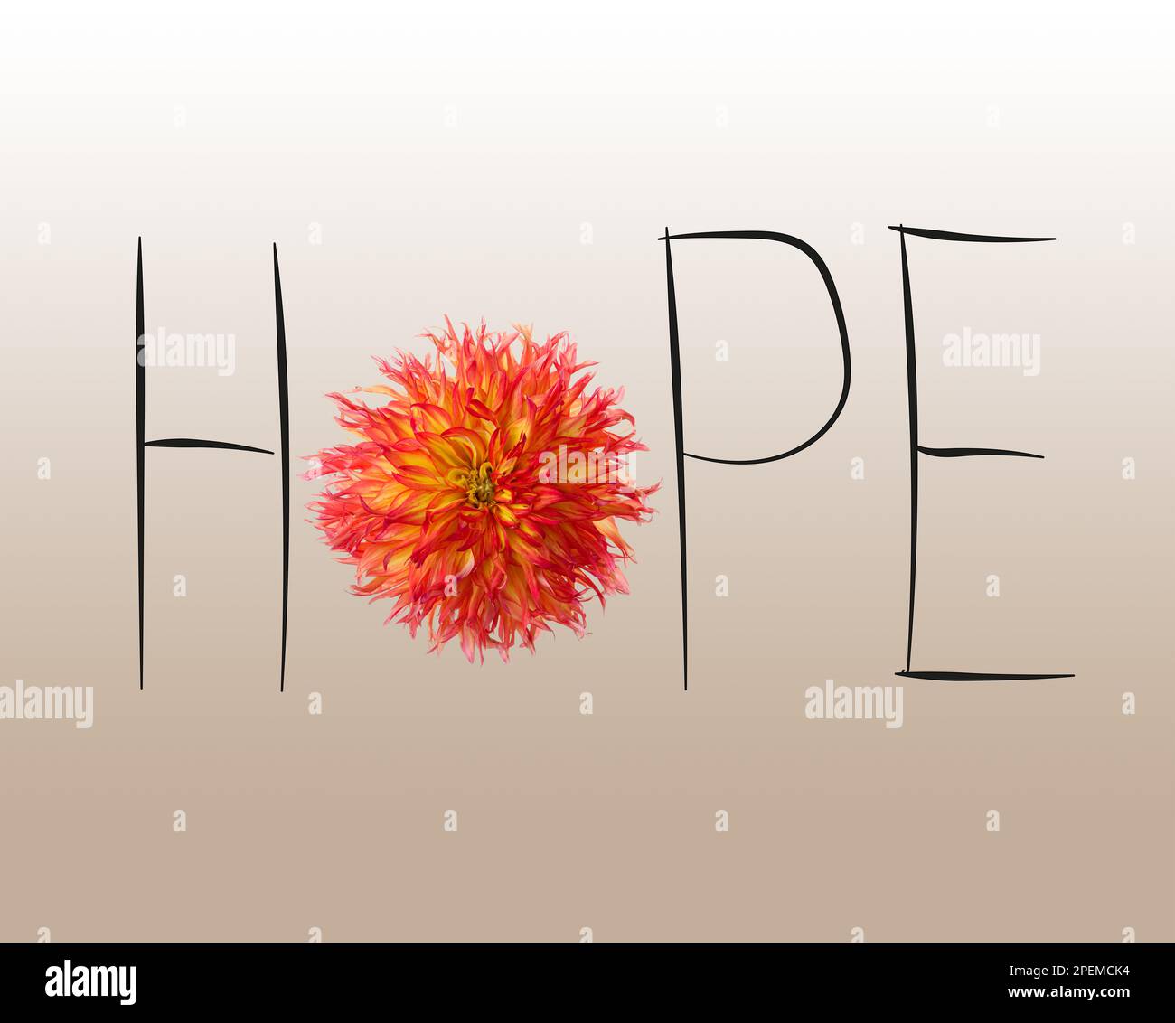 Hope In Letters Word HOPE made with letters and beautiful dahlia flower on light ...