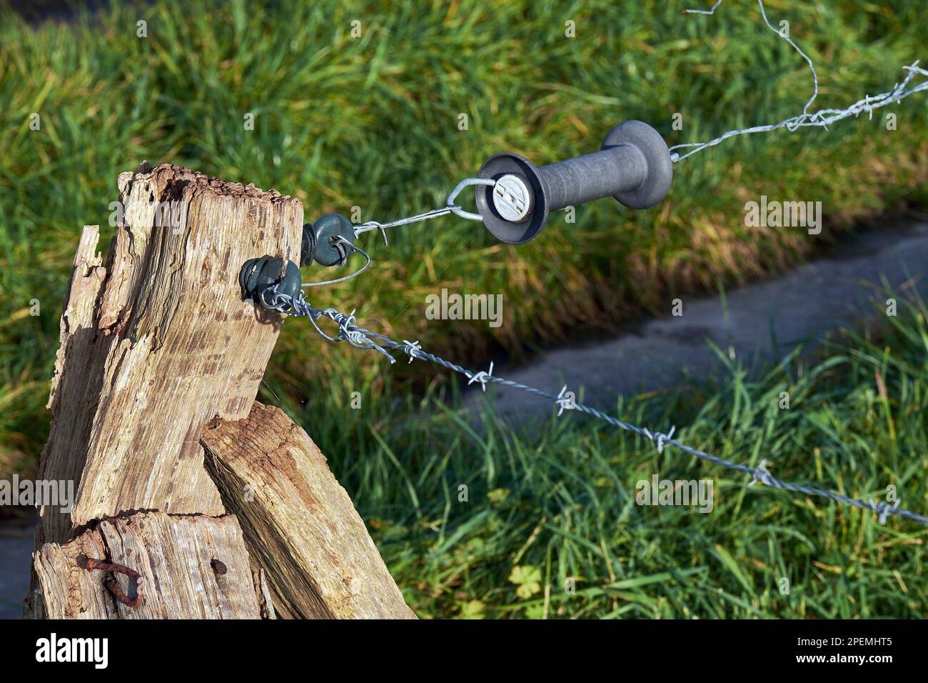Razor wire.Barbed wire, Germany closeup. Stacheldrahtzaun, Nahaufname Stock Photo Alamy