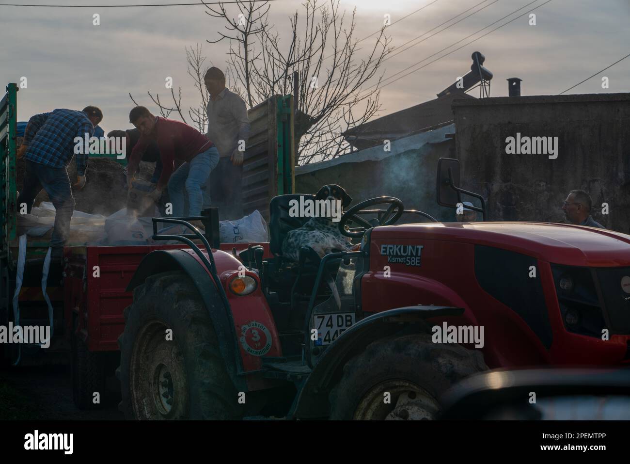 Bartin, Turkey - December 31 2022: People carrying loads in the trailer of the tractor and a funny dog sitting in the driver's seat of the tractor Stock Photo