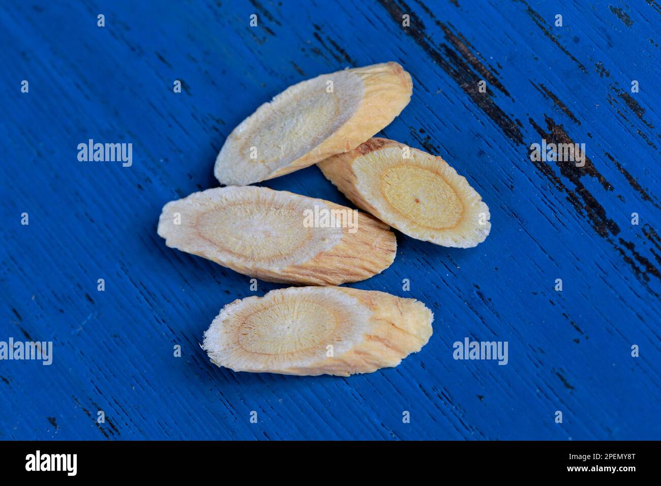 Chinese herbal medicine astragalus membranaceus on a white background