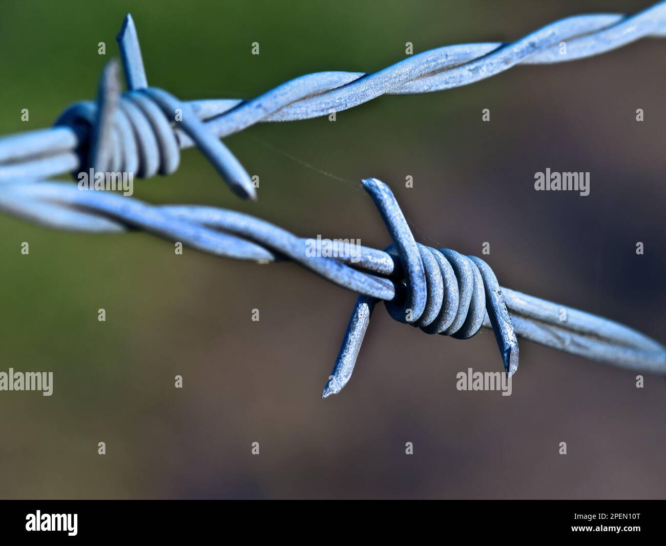 Razor wire.Barbed wire, Germany closeup. Stacheldrahtzaun, Nahaufname Stock Photo Alamy
