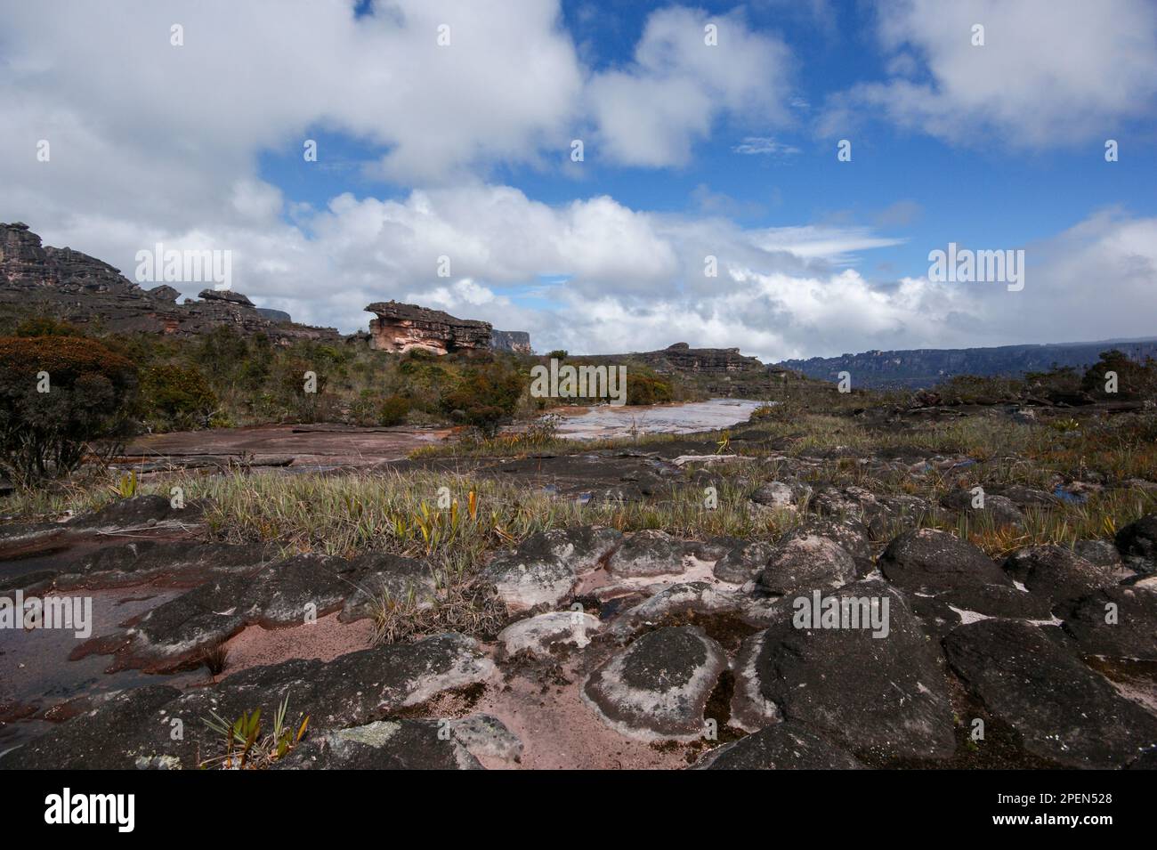 Landscape with black sandstone rocks on the plateau of Auyan Tepui, Venezuela Stock Photo