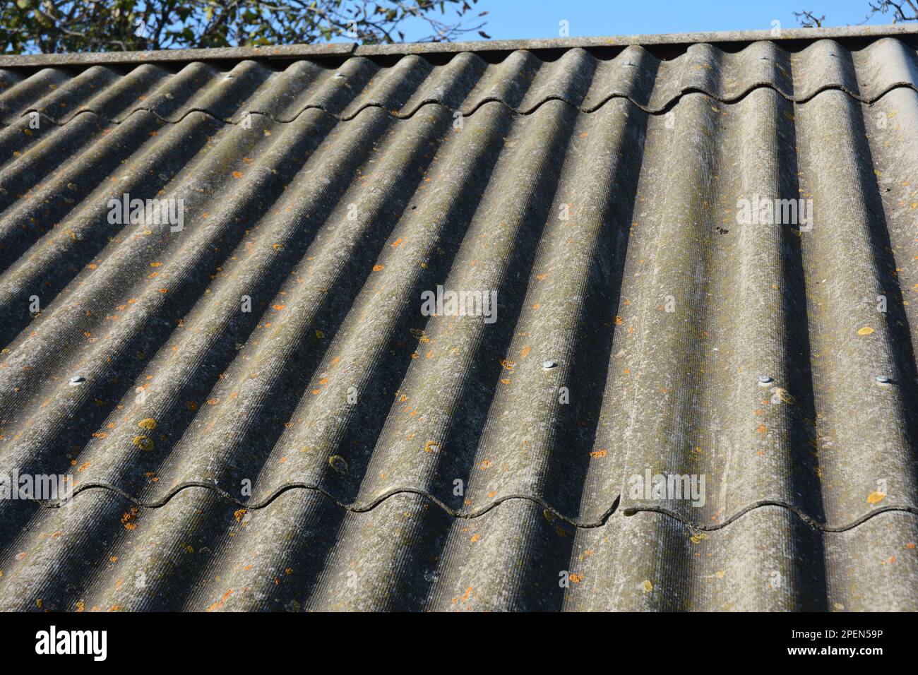 Asbestos Roof Cleaning. Removing Moss from Asbestos Roof Stock Photo
