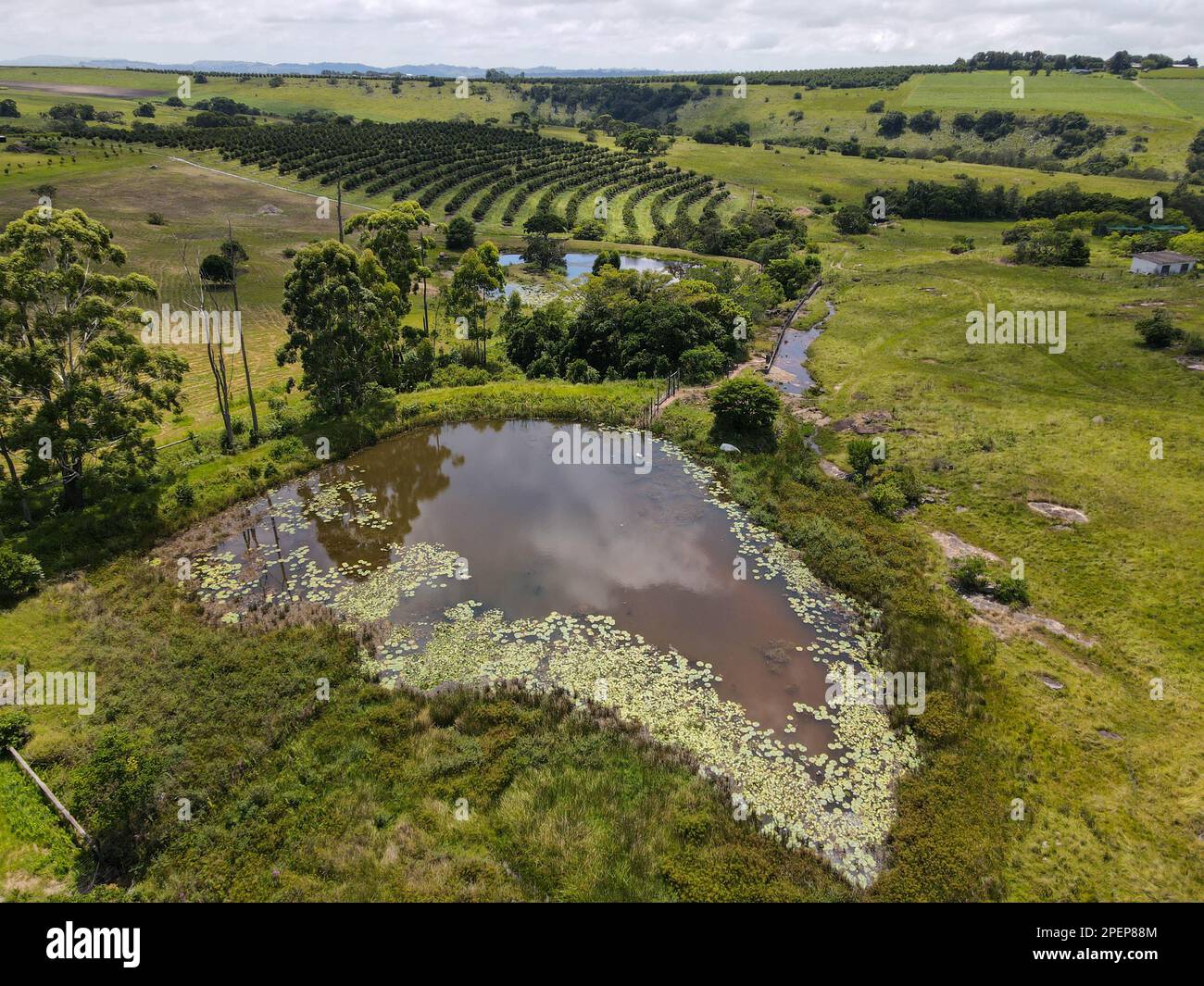 Drone view at Oribi gorge near Port Shepstone on South Africa Stock ...