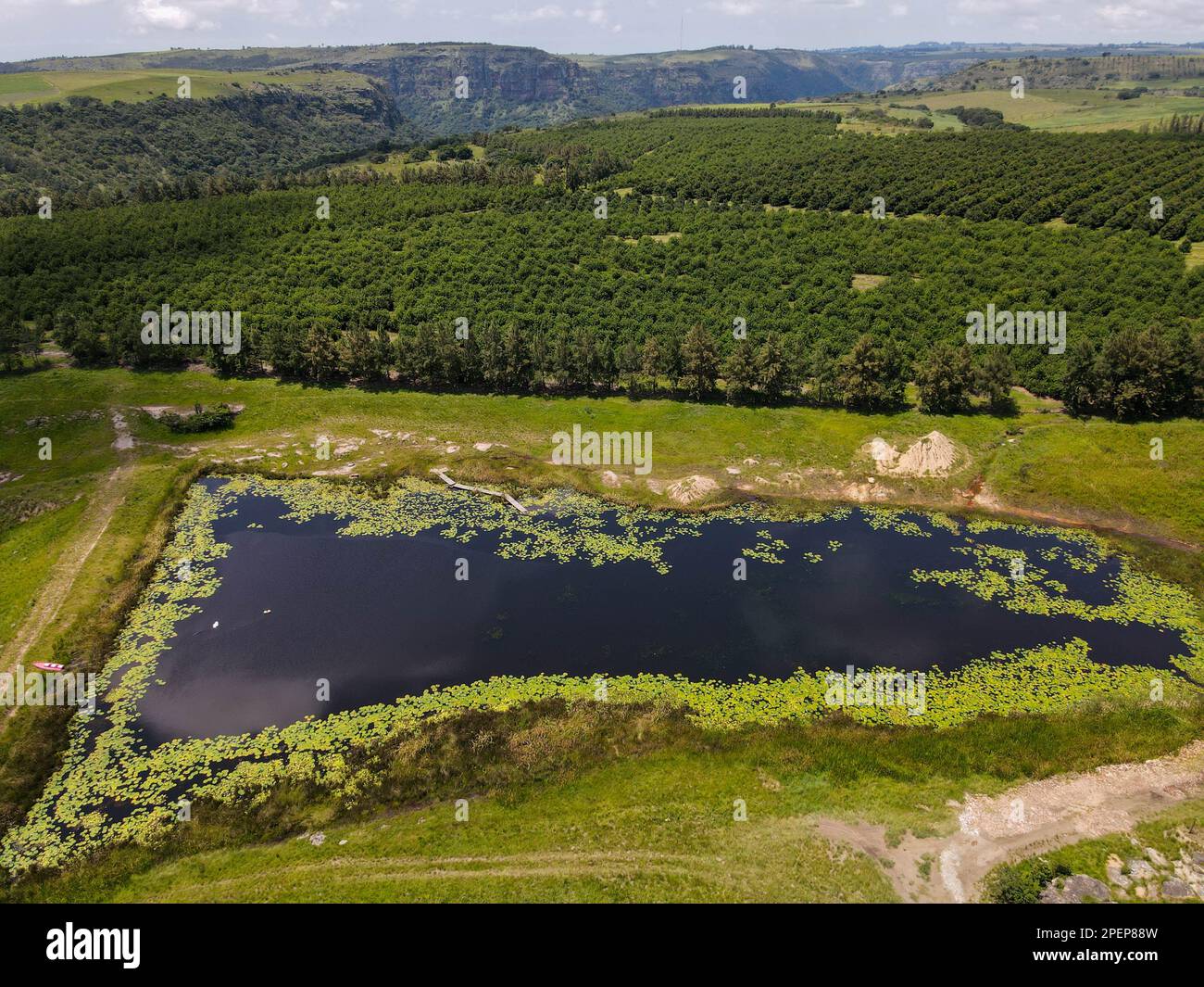 Drone view at Oribi gorge near Port Shepstone on South Africa Stock ...