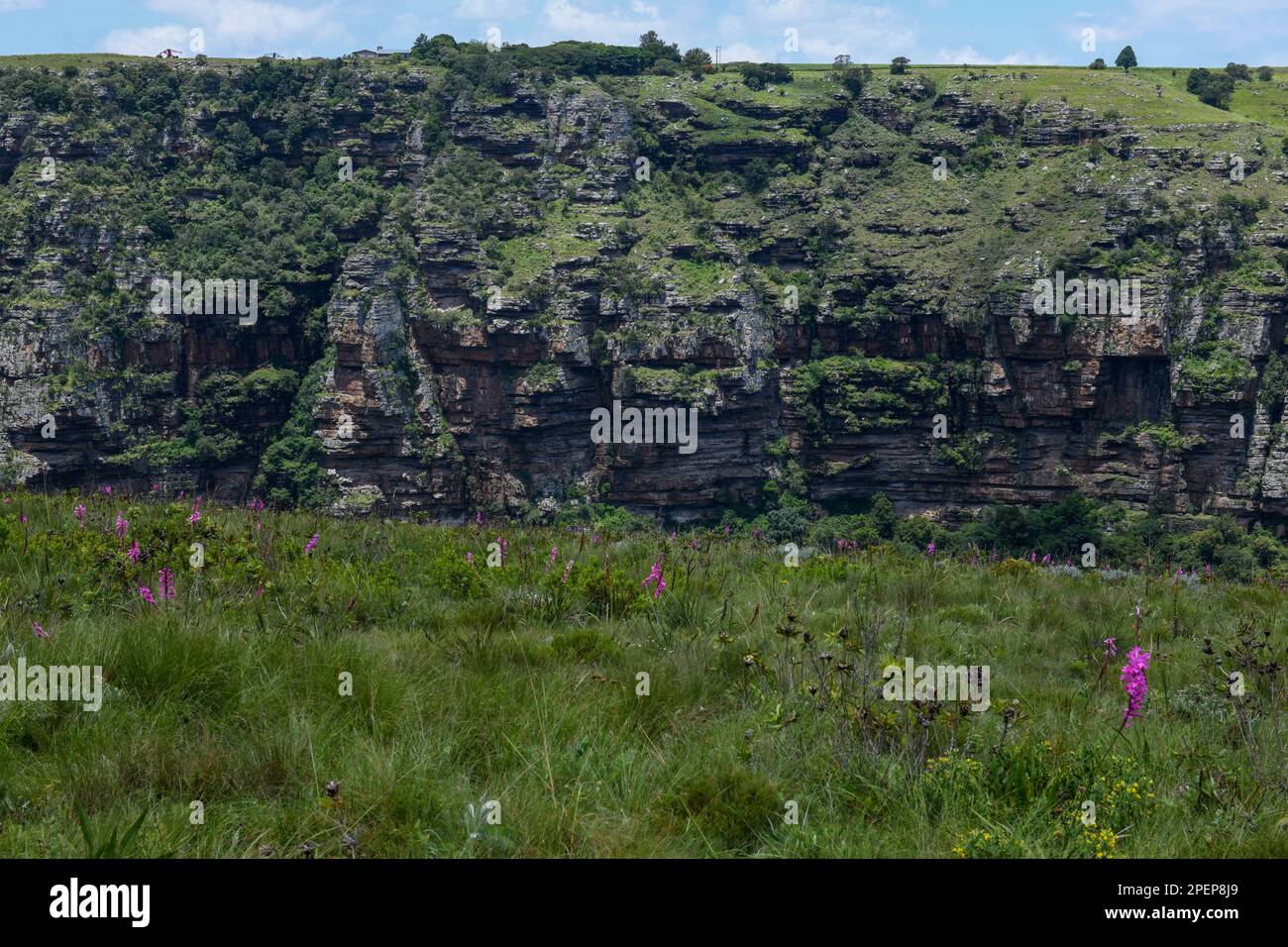 View at Oribi gorge near Port Shepstone in South Africa Stock Photo - Alamy