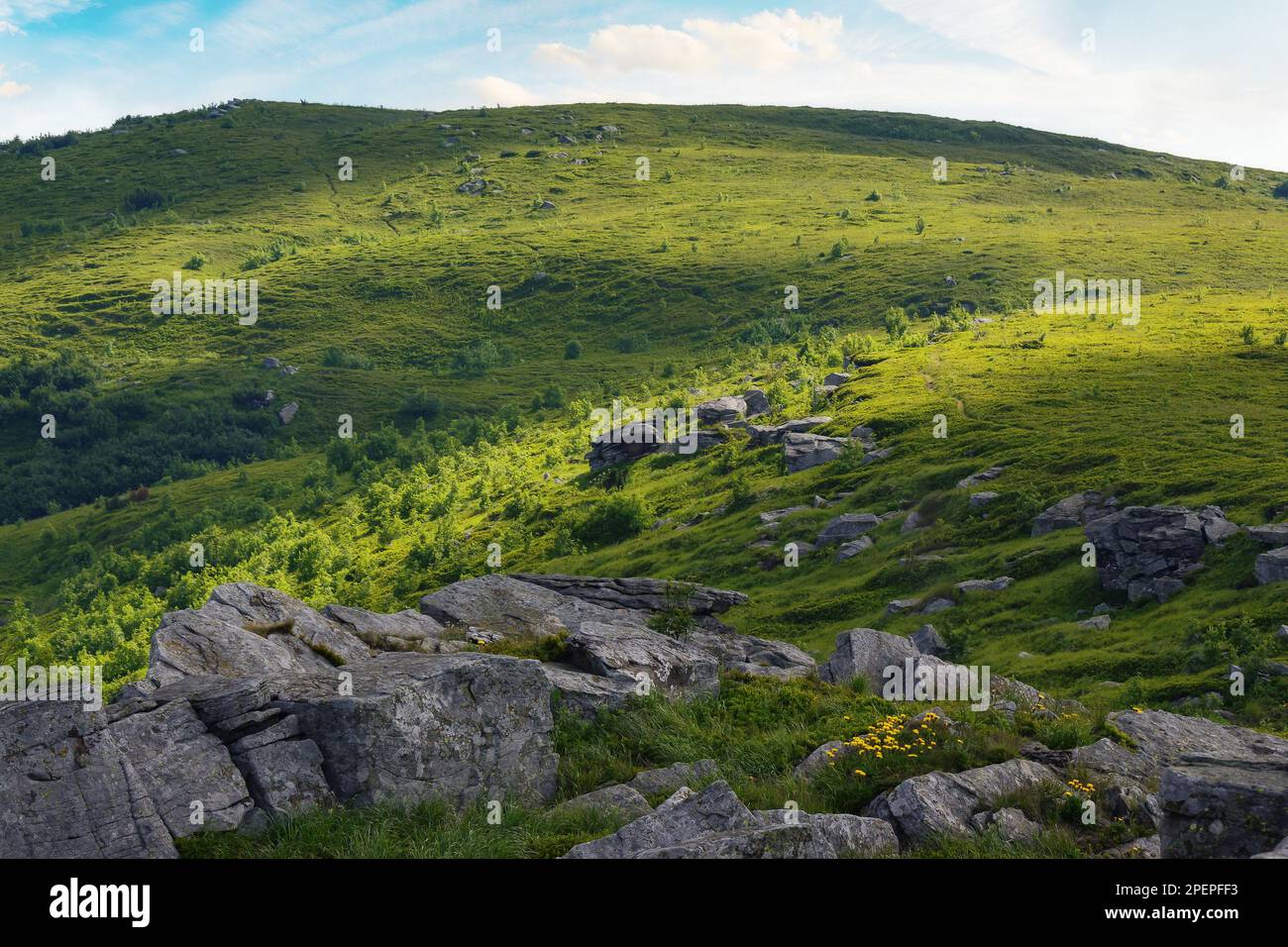 wonderful summer landscape in mountains. grassy meadows and rolling hills. boulders and stones on the hillside. picturesque scene in morning light. uk Stock Photo