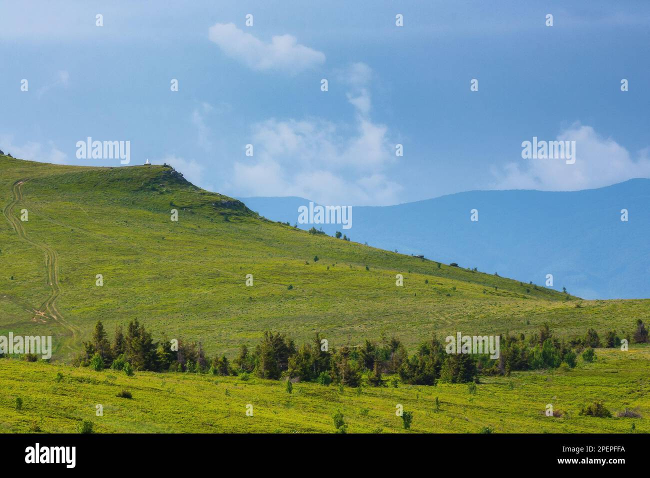nature scenery with forested hills. carpathian mountains in summer Stock Photo
