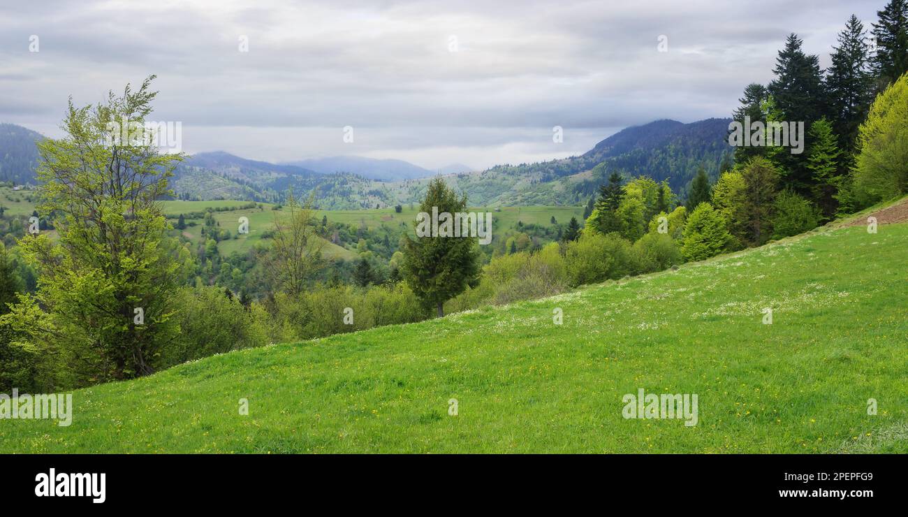 cloudy rural mountain landscape. morning scenery of carpathian countryside in spring Stock Photo