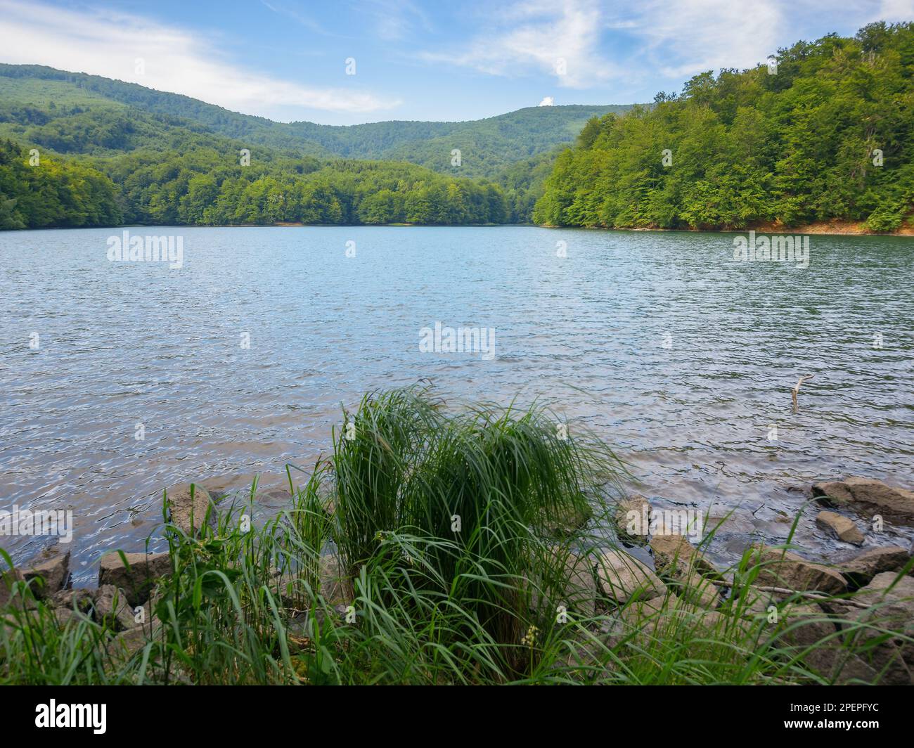 lake in slovakian mountainous countryside. vacation season in summer. bright sunny day Stock Photo