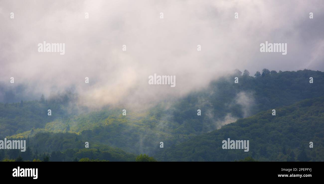 view of green mountain forested hills in fog. dramatic clouds above the distant ridge Stock Photo