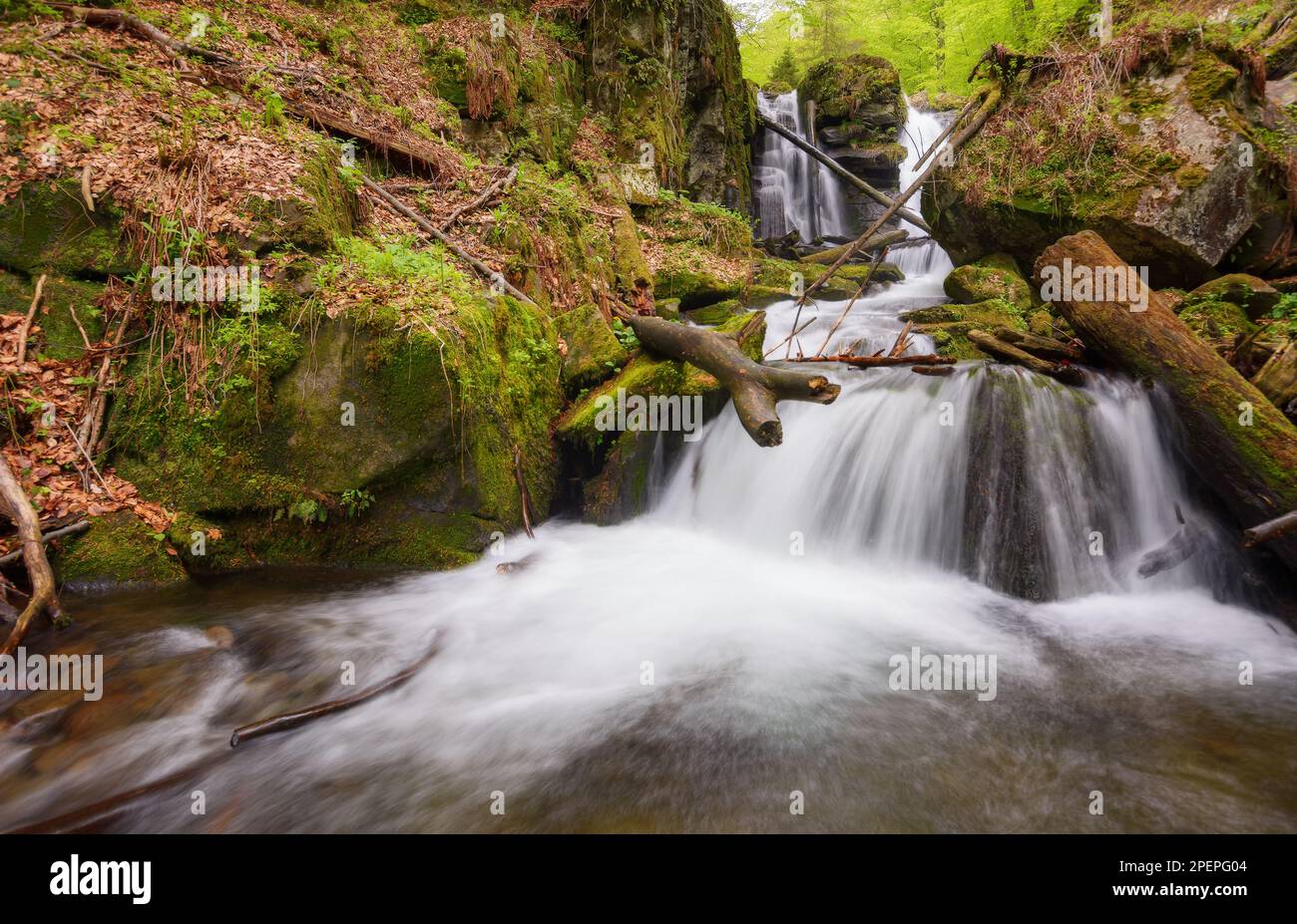 waterfall on the creek in forest. beautiful outdoor nature background. plenty of water in spring Stock Photo