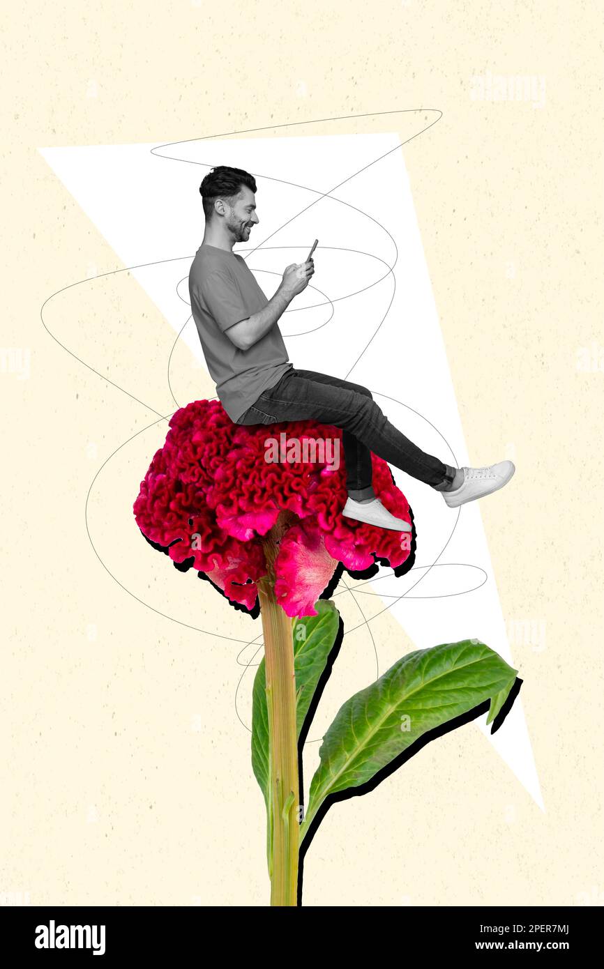 Surreal banner poster collage of young guy sit crimson flower petals writing sms girlfriend order bunch florist 8 march gift Stock Photo