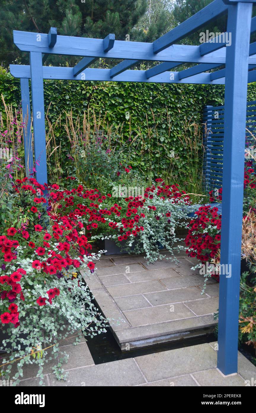 Blue Wood Timber Gazebo and Fence on Paved Patio Area at RHS Garden
