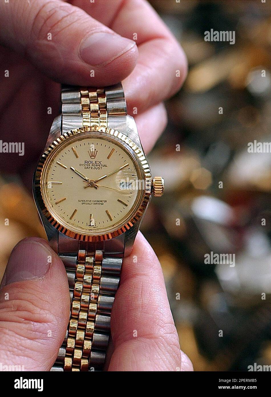 Swiss shop wrist rolex