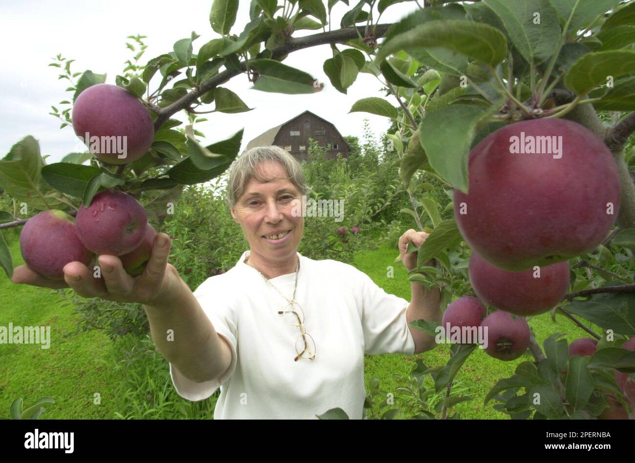 Empire - New York Apple Association