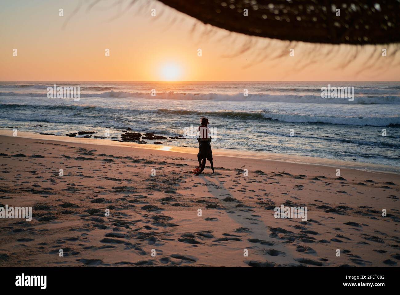 Horse riding in the beach at sunset with nice color and some nice horse ...