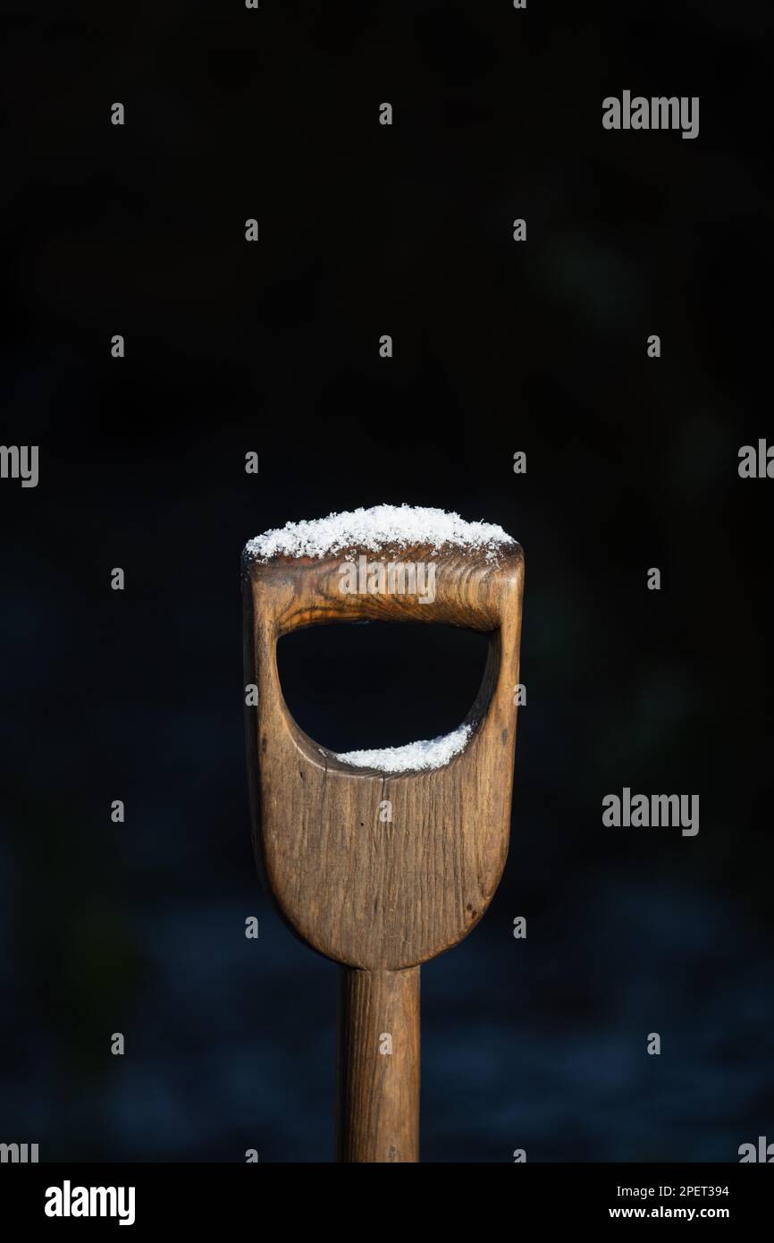 Winter garden - traditional vintage d handle wooden border fork covered with snow Stock Photo