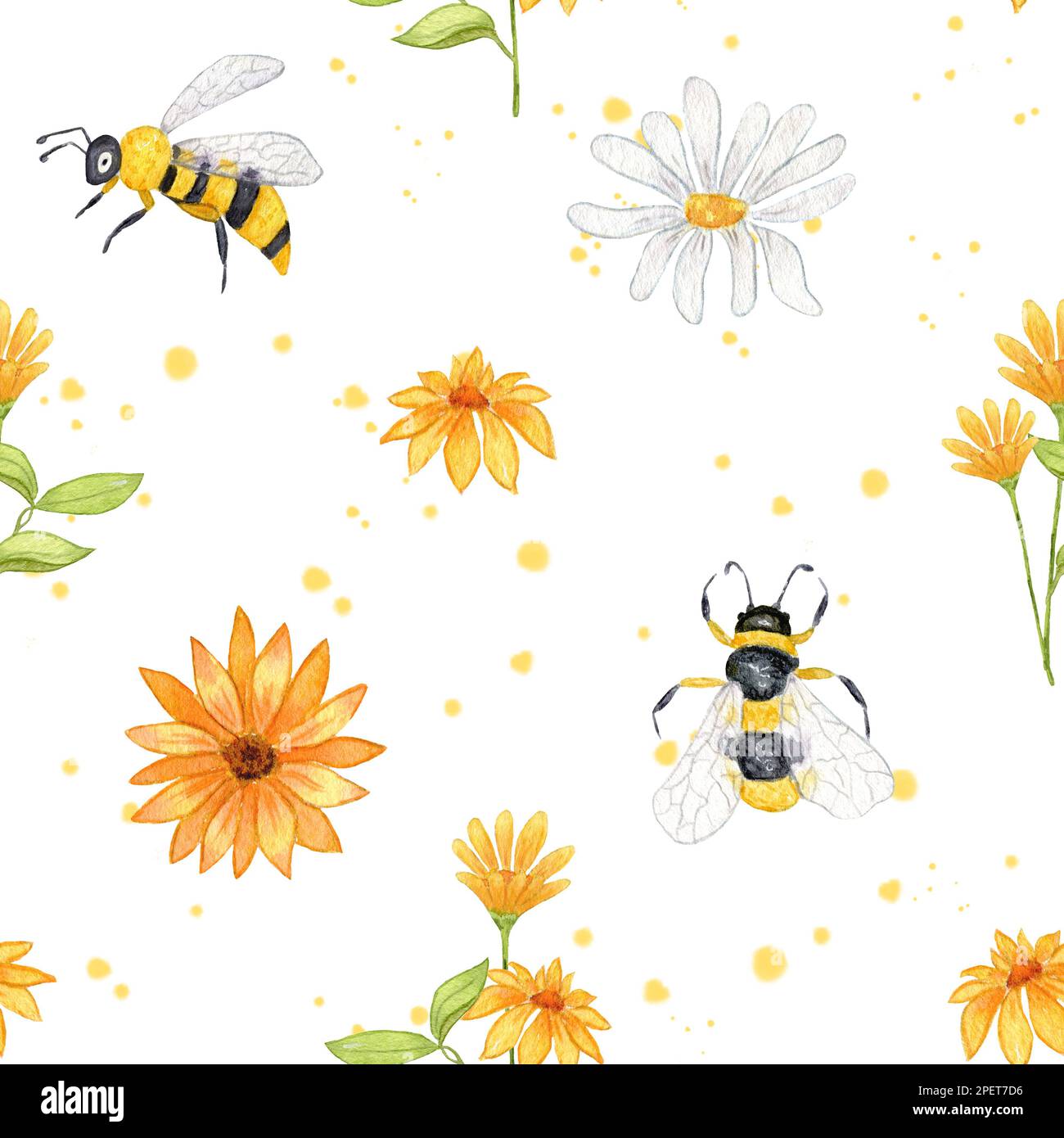 Bee pattern. Watercolor seamless pattern with chamomile flowers ...