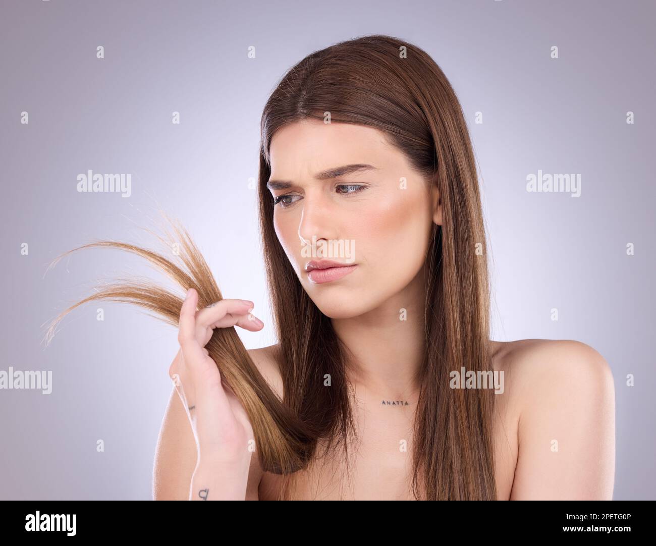 Woman, worry and split ends in studio, background and beauty concern of hair loss, problem and damage. Worried, unhappy and female model check tips of Stock Photo