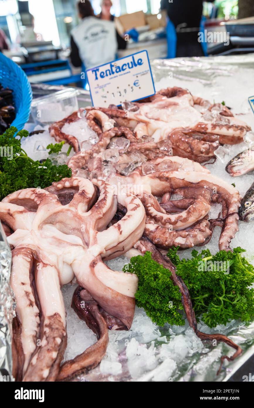 Fresh huge octopus, other seafood and fish for sale at street market at ...